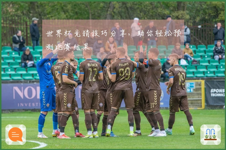 世界杯竞猜技巧分享，助你轻松预测比赛结果