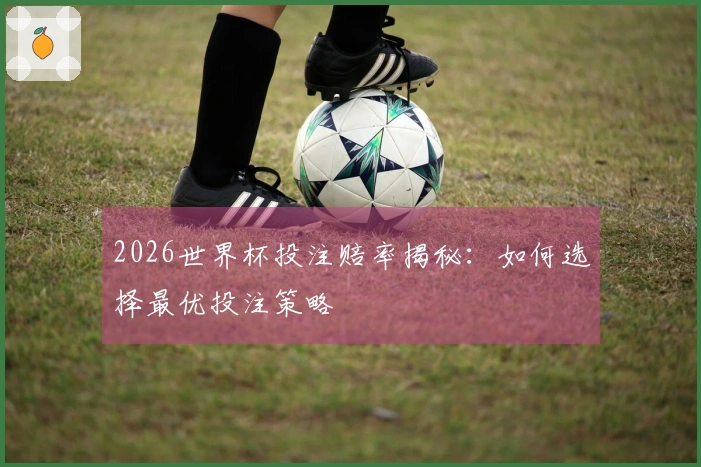 2026世界杯投注赔率揭秘：如何选择最优投注策略