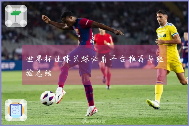世界杯让球买球必看平台推荐与经验总结