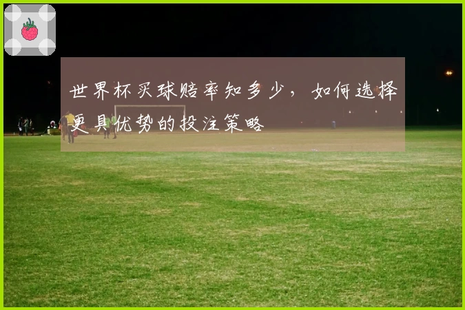 世界杯买球赔率知多少，如何选择更具优势的投注策略