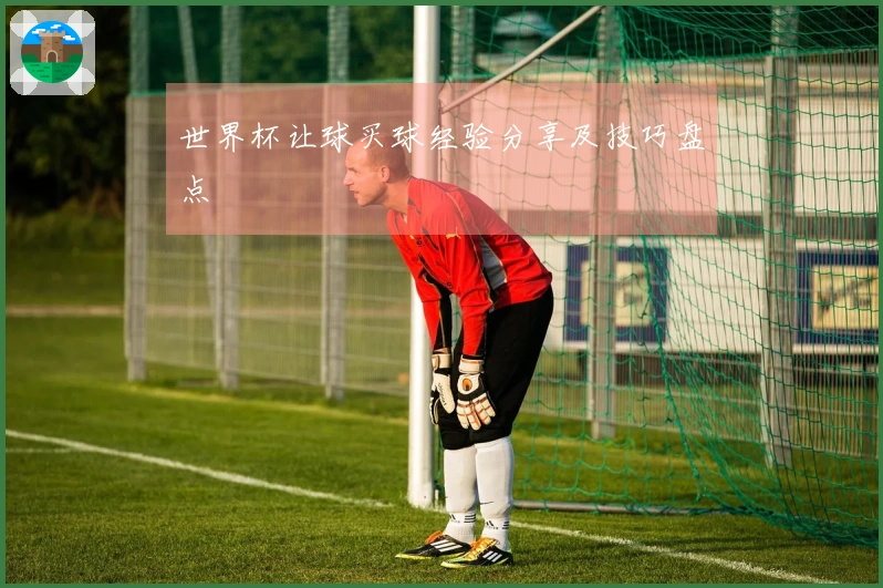 世界杯让球买球经验分享及技巧盘点