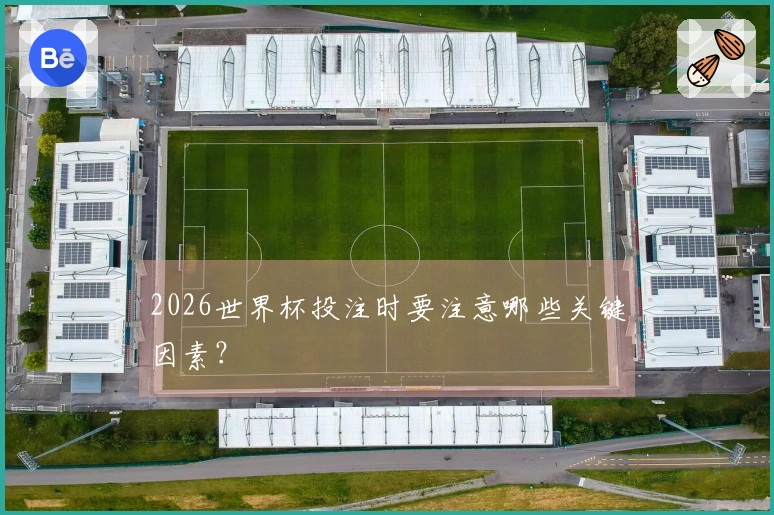 2026世界杯投注时要注意哪些关键因素？