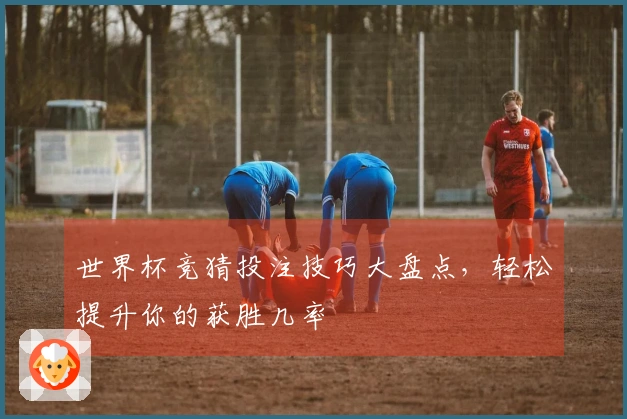 世界杯竞猜投注技巧大盘点，轻松提升你的获胜几率