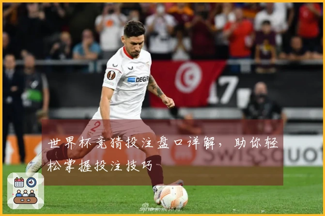 世界杯竞猜投注盘口详解，助你轻松掌握投注技巧