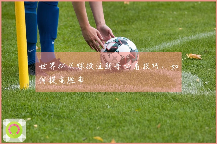世界杯买球投注新手必看技巧，如何提高胜率