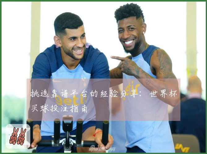 挑选靠谱平台的经验分享：世界杯买球投注指南